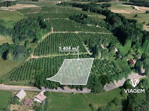 Prodej podílu zahrady, Žernov, 2026 m2