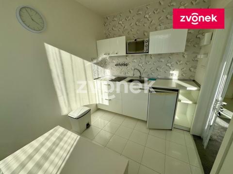 Prodej bytu 1+1, Zlín, Česká, 33 m2