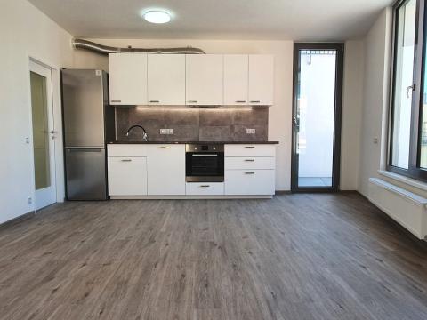 Pronájem bytu 3+kk, Praha - Střešovice, Na Petynce, 68 m2
