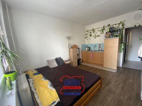 Pronájem bytu 1+kk, České Budějovice, Staroměstská, 25 m2