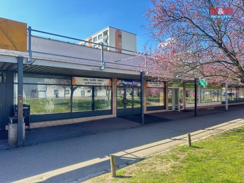 Pronájem obchodního prostoru, Mladá Boleslav - Mladá Boleslav II, Krátká, 265 m2