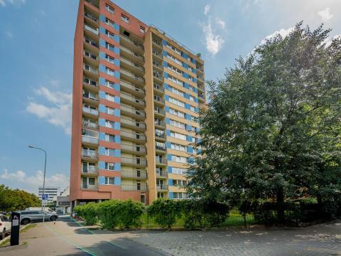 Pronájem atypického bytu, Praha - Holešovice, Dělnická, 20 m2