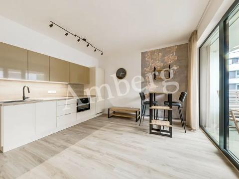 Pronájem bytu 1+kk, Praha - Karlín, U Sluncové, 33 m2