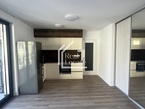 Pronájem bytu 2+kk, Praha - Libeň, Na sypkém, 60 m2