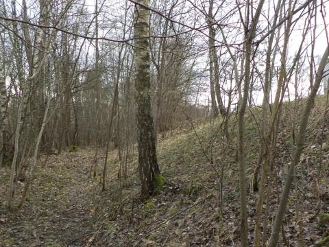 Dražba louky, Jindřichův Hradec, 1150 m2