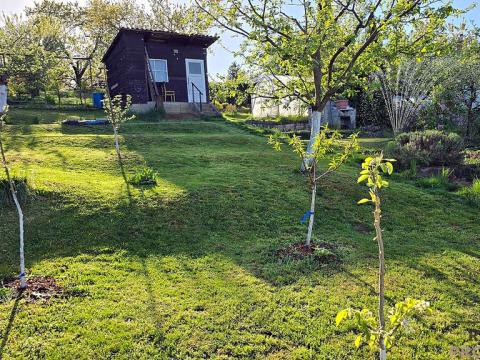 Prodej zahrady, Olomouc - Slavonín, 391 m2