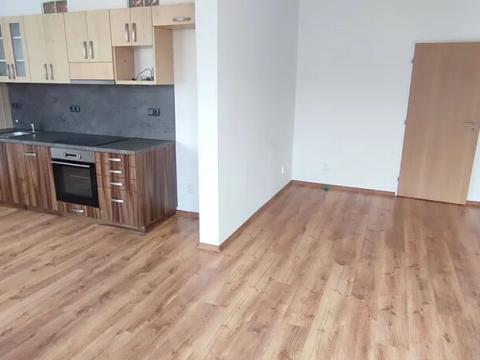 Pronájem bytu 3+kk, Ostrava, Mlýnská, 113 m2