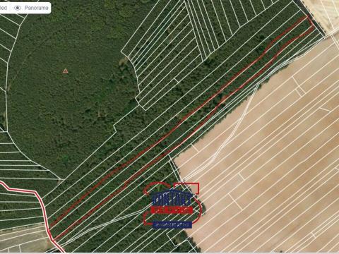 Prodej lesa, Štichovice, 14637 m2