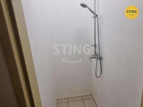 Pronájem bytu 1+kk, Opava, Haškova, 14 m2