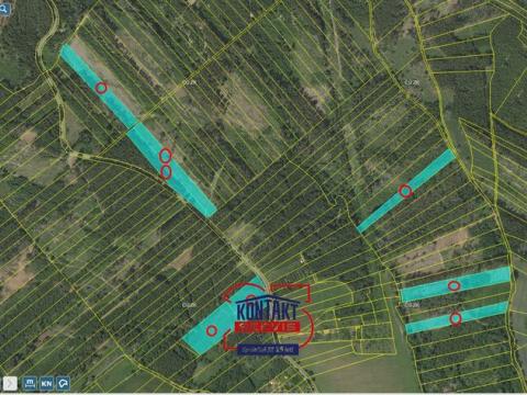 Prodej lesa, Jevíčko, 70821 m2