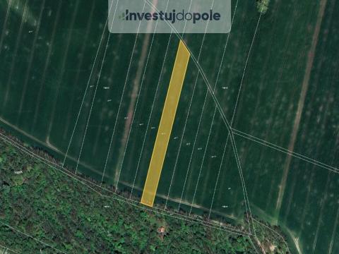 Prodej pole, Chotěšov, 4929 m2
