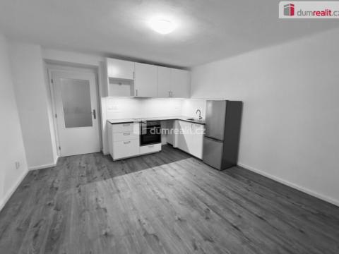 Pronájem bytu 2+kk, Praha - Žižkov, Žerotínova, 43 m2