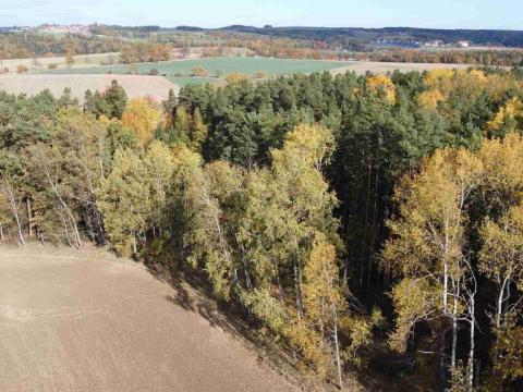 Prodej lesa, Římov - Dolní Stropnice, 32512 m2