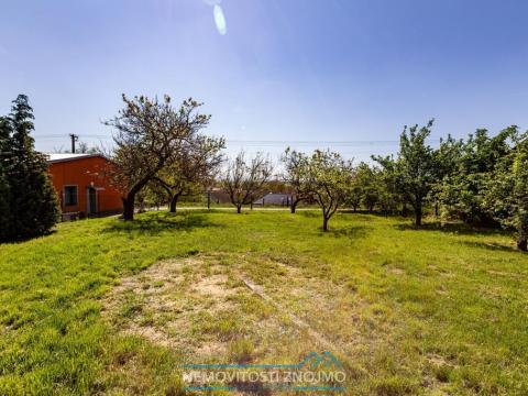 Prodej pozemku pro bydlení, Dyjákovice, 600 m2