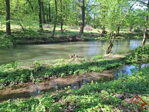 Pronájem rybníku, Bystřice pod Hostýnem, 781 m2