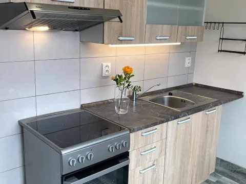 Prodej bytu 2+1, Chomutov, Cihlářská, 53 m2