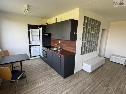 Pronájem bytu 1+1, Most, Javorová, 35 m2
