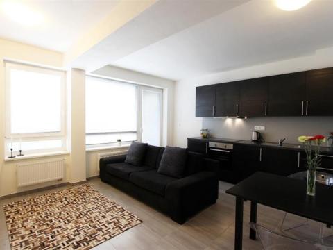 Pronájem bytu 1+kk, Brno, Kopečná, 32 m2