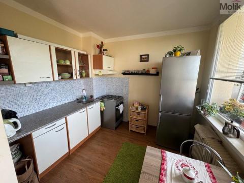 Pronájem bytu 1+1, Most, Brněnská, 33 m2