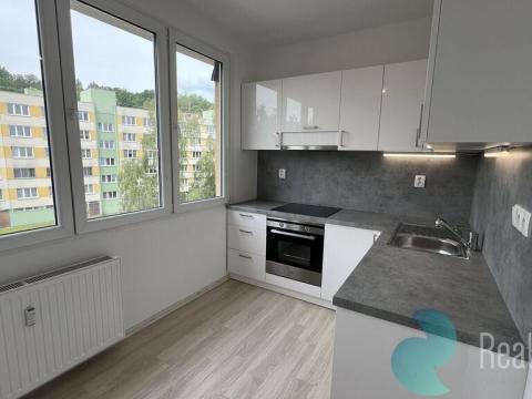 Pronájem bytu 1+1, Český Krumlov, Sídliště Plešivec, 40 m2
