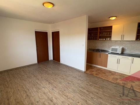 Prodej bytu 2+kk, Srní, 46 m2