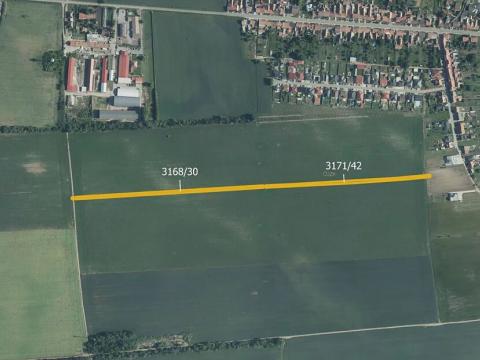 Prodej pole, Prušánky, 11825 m2