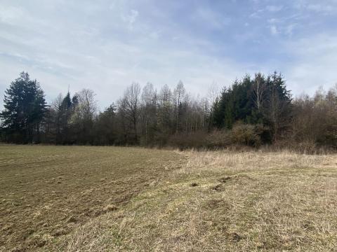 Prodej lesa, Pačejov - Strážovice, 2841 m2