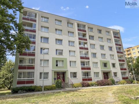 Pronájem bytu 1+1, Duchcov, Osecká, 35 m2