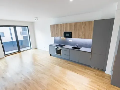 Prodej bytu 1+kk, Praha - Žižkov, Seifertova, 67 m2