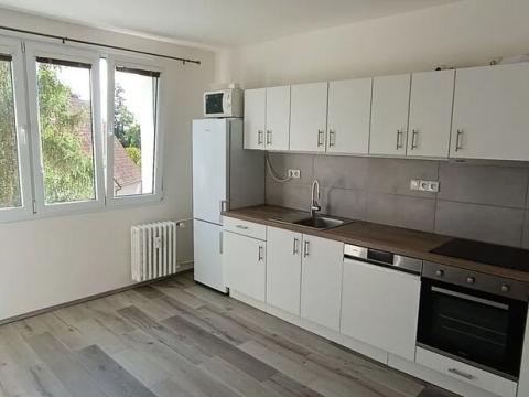 Pronájem bytu 1+1, Plzeň, Elišky Krásnohorské, 40 m2