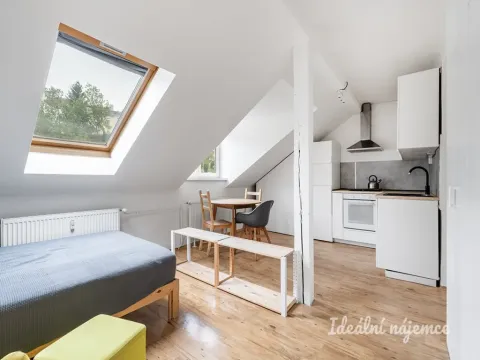 Pronájem bytu 1+kk, Praha - Smíchov, Holečkova, 35 m2