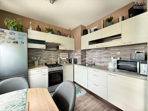 Prodej bytu 2+1, Duchcov, Vrchlického, 60 m2
