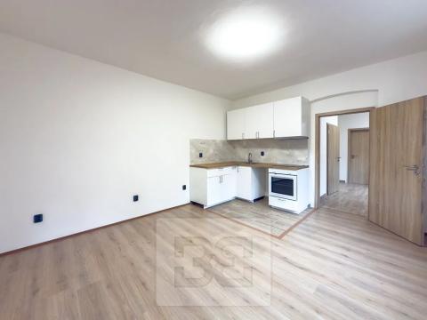 Pronájem bytu 2+kk, Brandýs nad Labem-Stará Boleslav, Masarykovo náměstí, 48 m2