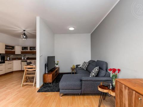 Prodej bytu 2+kk, Plzeň, U Velkého rybníka, 62 m2