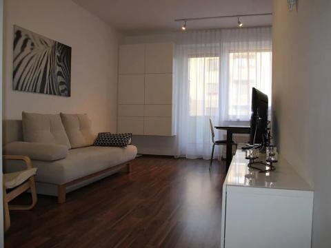 Pronájem bytu 1+kk, Brno, U Leskavy, 38 m2
