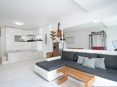 Pronájem bytu 1+kk, Praha - Karlín, U Mlýnského kanálu, 47 m2