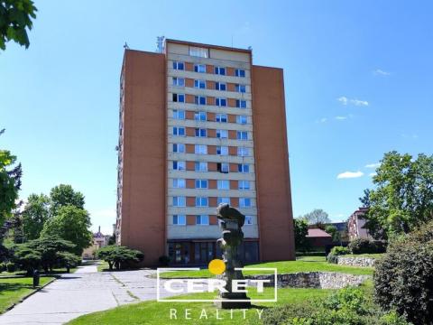 Prodej bytu 1+1, Žatec, Havlíčkovo náměstí, 39 m2