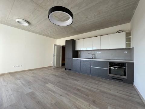 Pronájem bytu 1+kk, České Budějovice, O. Nedbala, 39 m2