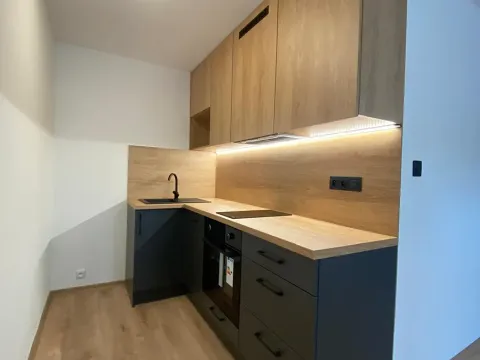 Pronájem bytu 2+kk, Most, Josefa Ševčíka, 39 m2