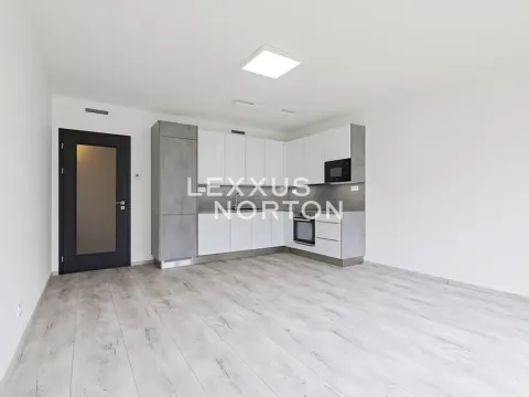 Pronájem bytu 2+kk, Praha - Vysočany, Stejnosměrná, 61 m2
