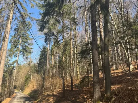 Prodej lesa, Kunčice pod Ondřejníkem, 7144 m2