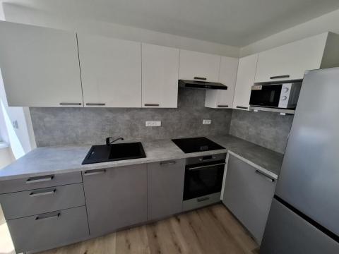 Pronájem bytu 1+1, Brno - Žabovřesky, Šmejkalova, 42 m2