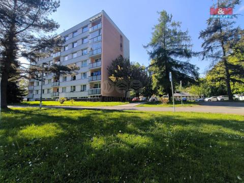 Prodej bytu 1+1, Trutnov - Dolní Předměstí, Náchodská, 36 m2