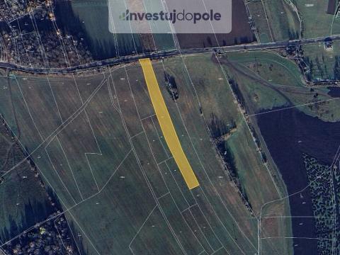Prodej pole, Bradlec, 5752 m2