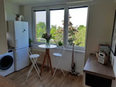 Pronájem bytu 2+1, České Budějovice - České Budějovice 3, Plzeňská, 62 m2