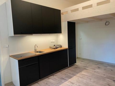 Pronájem bytu 1+kk, Praha - Holešovice, Letohradská, 23 m2