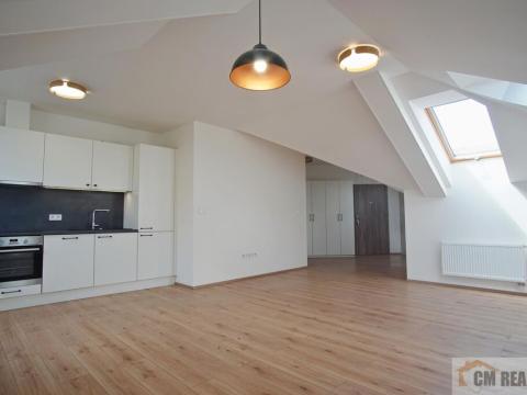 Pronájem bytu 1+kk, Olomouc - Hodolany, Holická, 53 m2