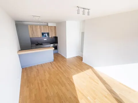 Prodej bytu 3+kk, Praha - Žižkov, Seifertova, 70 m2