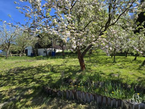 Prodej zahrady, Těšovice, 501 m2