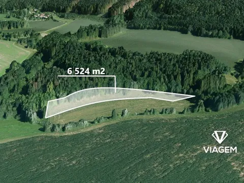Prodej pole, Jeřišno, 6524 m2